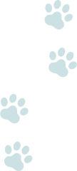 about_bg_pawpads