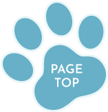 pagetop